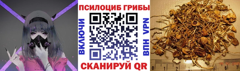 Галлюциногенные грибы Magic Shrooms  KRAKEN зеркало  Белый 